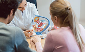 Fertility evaluation